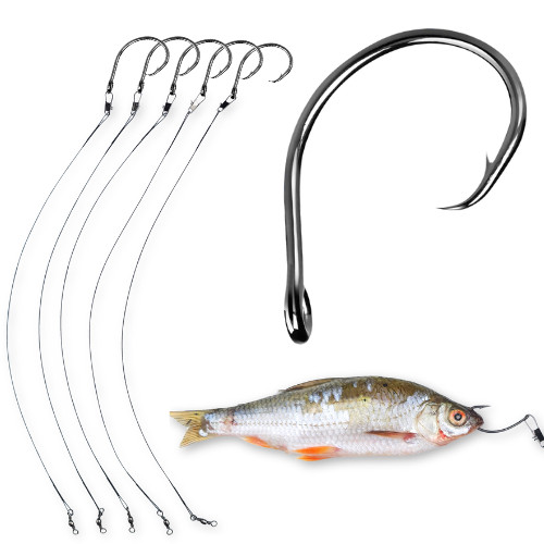 Circle hooks pike deadbait - hooks,