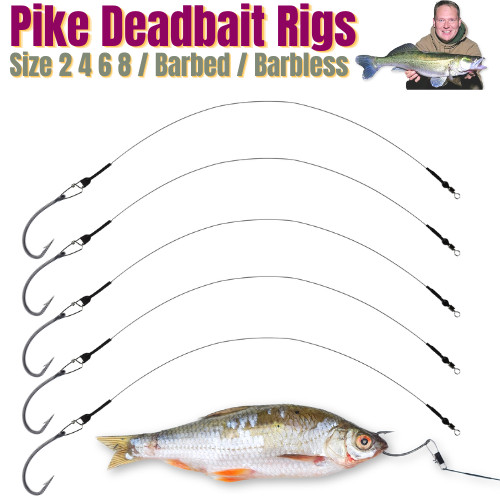 Pike zander deadbait - zander, live