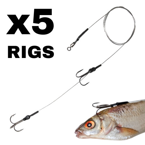 Pike zander dead bait rigs - dead,